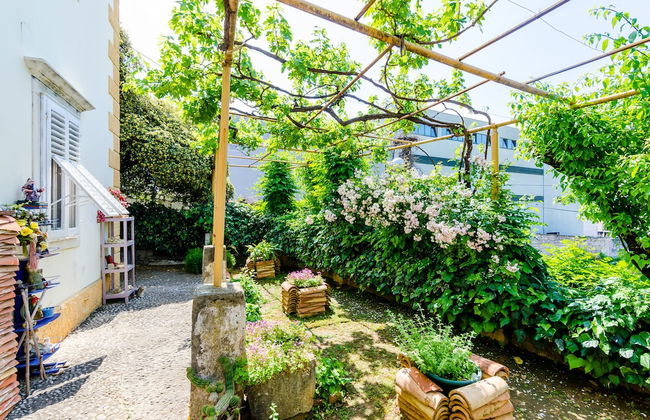 Guest House Ivana - Foto 20