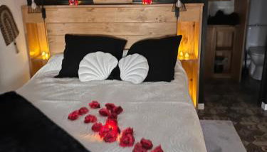 Magnolia duplex - Photo 2