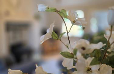 Newly Renovated Country Cottage - Foto 14