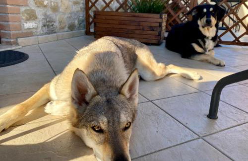 Domus Laetitiae Santa Croce - Foto 59