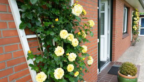 Haus Kölfhamm - Foto 3