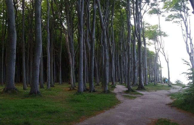 Schatje in het Huis Pamir - Foto 12