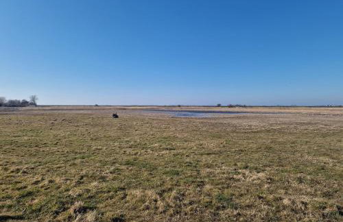 Haus-Fehmarn-am-Dorfteich-|-Wohnung-3-Nord - Foto 44