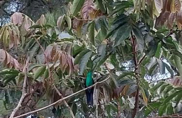 Chale da Montanha Capivari - Foto 73