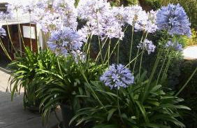 Ferienwohnung Helmis - Photo 17