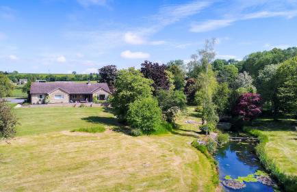 The Quackery - Foto 9