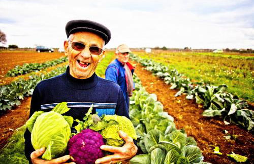 Agriturismo Sierro Lo Greco - Foto 21