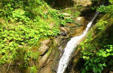 Chalet les Eglantines - Foto 26