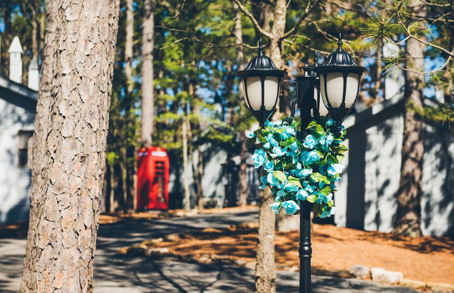 Hogsveil Cottages - Harry Potter Themed - Foto 31