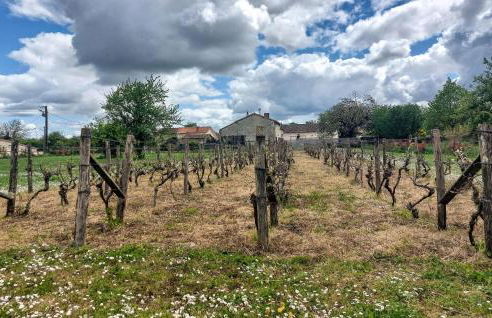 Holiday Gite On A Vineyard - Foto 13