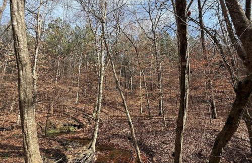 Waterfalls Canyon 41.5 Acres W Miles of Trails - Foto 12