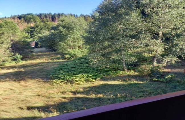 Cozy Apartment Near Trails - Foto 36