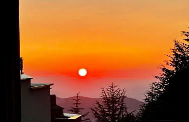 Warehouse Sierra Nevada - Foto 28