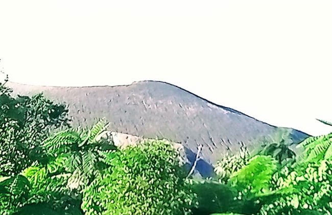 Glowing Mountain view tree house - Foto 42