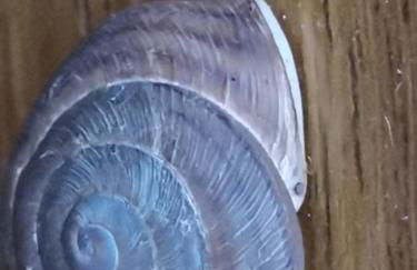 Casa Rural La Palizada - Foto 35