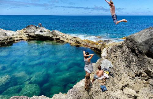 Sea Roots "Sea Zone" - Foto 36