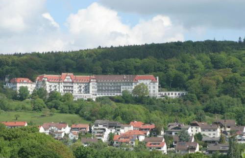 Apartment mit schöner Aussicht auf den Großen Feldberg & Burg Königstein & Frei PARKPLATZ auf Straßenseite - Foto 79