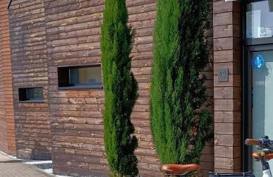 Cabañas de Canide - Foto 43