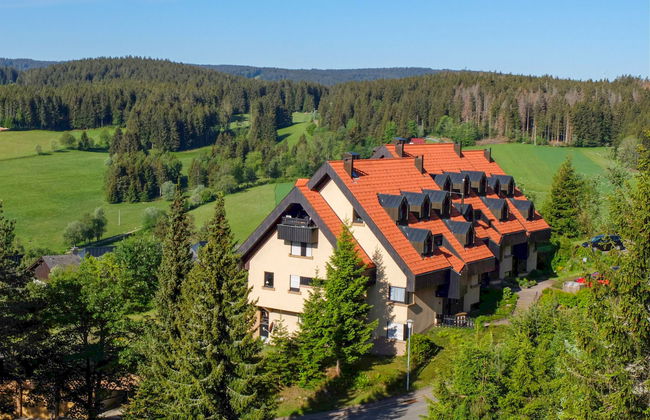 Schwarzwaldblick - Foto 8