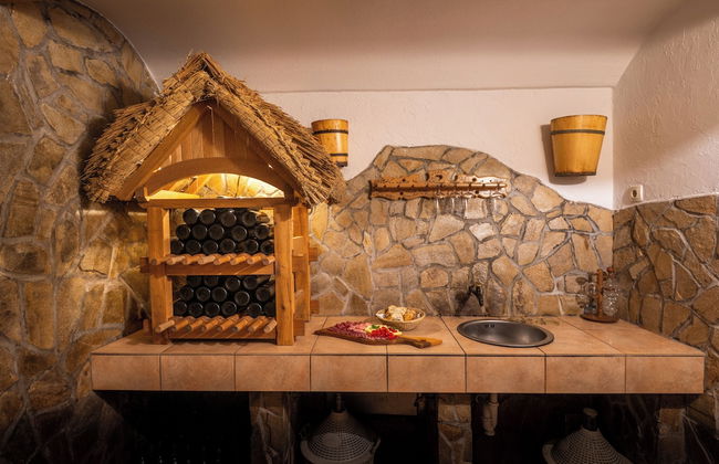 Vineyard Cottage Krivic - Photo 16