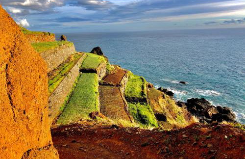 Mango House - Foto 52