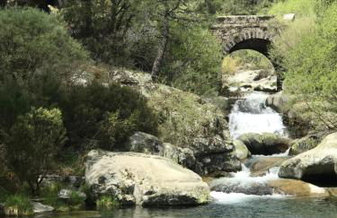 EL LLANO - El Hornillo, tu pueblo en la Sierra de Gredos. - Photo 57