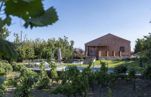 VIGNE dell'ETNA MASCALI - Foto 27