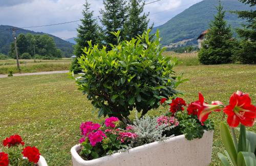 Apartment Golden Fields - Foto 9