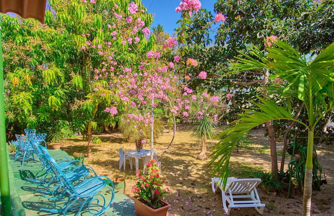 Villa in Cárdenas with swimming pool and garden - Photo 63