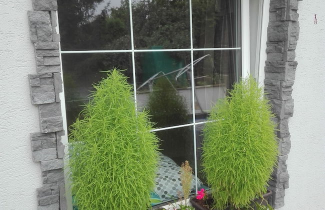 Apartman ALEX - Foto 1