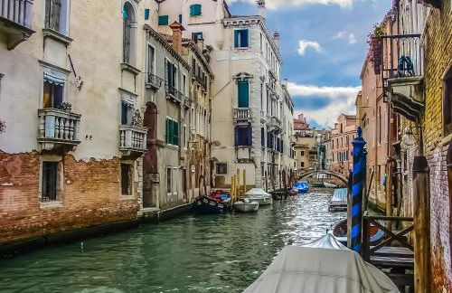 The judas trees - Foto 28