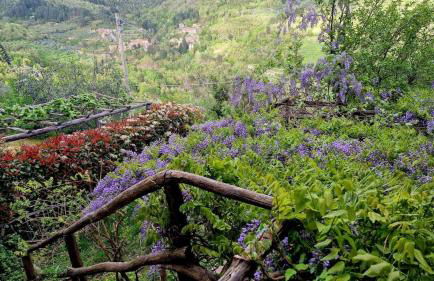 Tuscany, Loro Ciuffenna Mountain Bike&walking - Foto 28