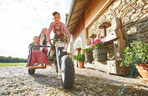 Ferienhof Stetter - Foto 1