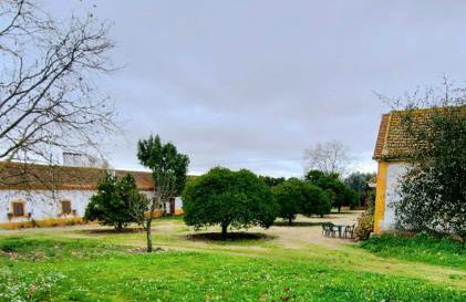 Casas Herdade do Convento da Serra - Foto 22