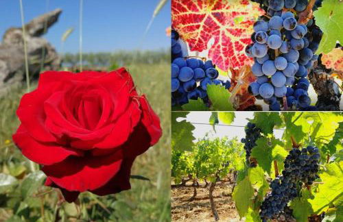 Family apartment Stella Marina - Foto 73