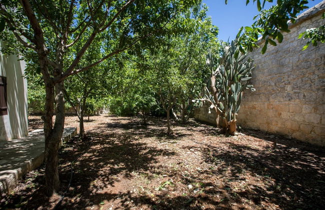 Droushia Corner House - Foto 27