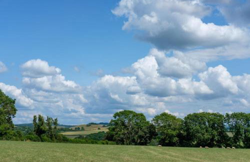 Honey Bee - Comfortable luxury shepherds hut with hot tub - Foto 41