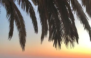 Chez Andrea, Centre Historique Ajaccio - Foto 24