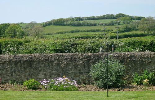 Woodpecker - Photo 13