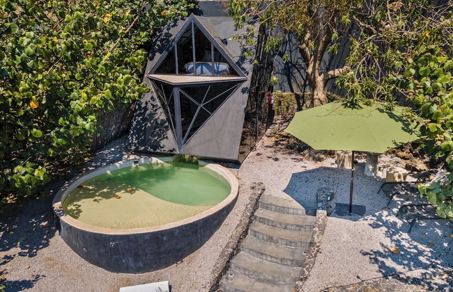 Bosque Geométrico - Foto 51