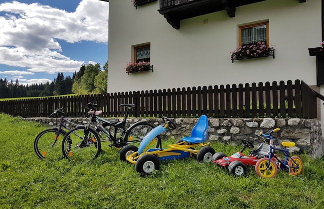 Ferienhaus-Sonnblick - Foto 27