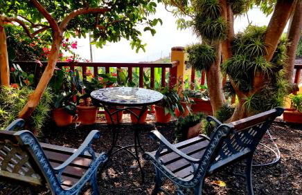 Los Nacientes: Cordero - Foto 13