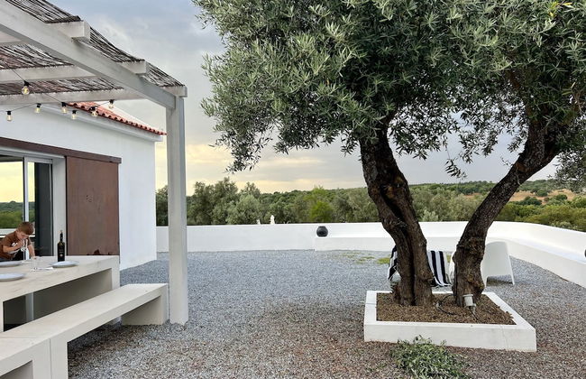 Fazenda do Pomar - Foto 14