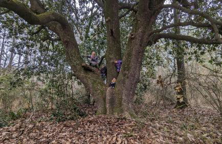 The Prancing Pony Guest House at Edendell - Foto 46