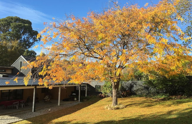 Korepo Lodge - Foto 22