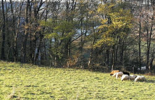 Das Burgberghaus Apartment Auwald - Foto 34