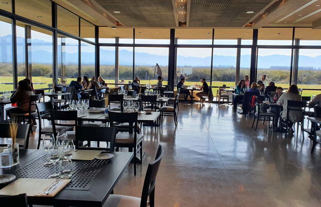 Tour pelo norte da região vitivinícola do Vale do Uco - Foto 8