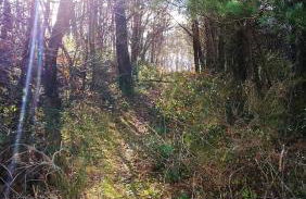 Appartement charmant à La Salvetat-sur-Aout 50 m² avec jardin - Foto 9