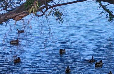 El Faro de Nules - Foto 13