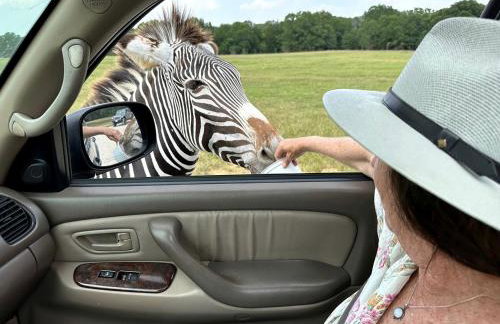 Texas Safari Camp Hummingbird Tree House - Foto 23